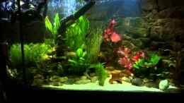 Video Mondlicht von mcfly (a-W3NfgcVOA)