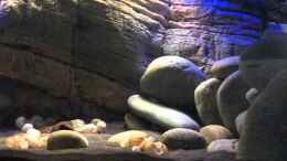 Video Licht, Licht, Licht... von ehemaliger User (a4qv7WQwNAk)