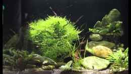 Video Sonnenlicht trifft "Smaugs Einöde" von AjakAndi (a8lOBITbx60)