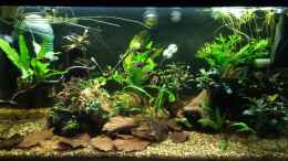 Video little Asia in Bovenden von herkla (aF8Ed3-jNj0)