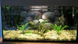 Video Mein Becken von Mirko (aFCxXKflYTM)