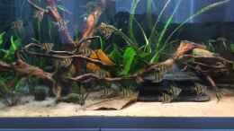 Video The Angels Fly  von Marcus Lucke (ae2fBzSArRo)