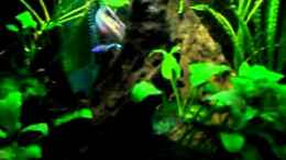 Video Gute Eltern von Koehler (al-4aUW_R5A)