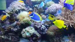 Video Fütterung ! von urbi (anMMG0DgGeA)