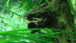 Video Video von Einrichtungsbeispiele.de von atom010 (aq3Lgxf4ghc)