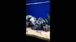 Video Malawi Erstbesatz von ehemaliger User (b310gWsrhKM)