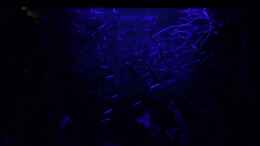 Video Vollmond in Südamerika von herkla (b3gP2s2Fo-U)