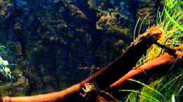 Video 200 Liter von zaffa (bNsPx86WrQo)