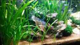 Video kleiner einblick von Mark H. (bO31EMdPcTc)