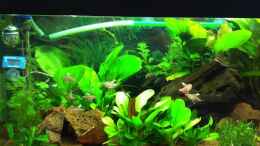 Video  von Hörnchen (bnEnzyPc8u0)