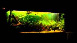 Video Blubber von Die Juli (c8ozF0nGqFw)