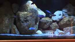 Video 1.Versuch von andreas32 (cBGq0MhLX2w)