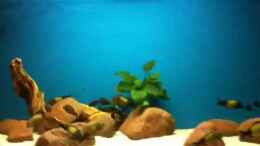 Video Ikola Becken von Mara_Rocks (cElycxL3QyQ)