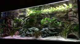 Video Meeki Barsche Kinderstube von ehemaliger User (cVxN0Pv2jl4)