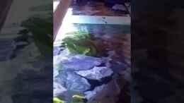 Video Oberflächenbewegung von Uncas (cYDH4xn0vos)