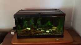 Video Morgendämmerung im Winterquartier von herkla (cyIYTXbSoTs)