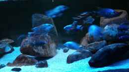 Video von Oeli (dMMAe6BGfGU)