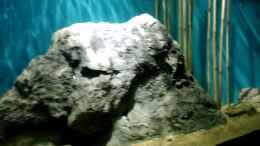 Video malawi 2000l von ehemaliger User (dPSs4dXMerk)