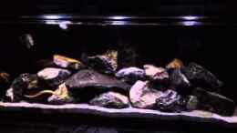 Video Mbamba Bay Island von Tobias Sch. (deFtEQiLGJU)