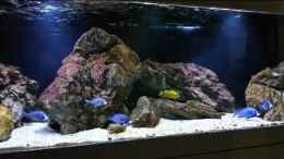 Video 600 Liter Malawi von Marita K. (dsh7rQNJDtg)