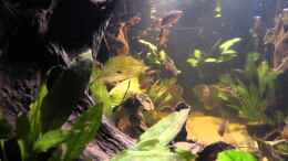 Video Gegen den Strom - Video von einrichtungsbeispiele.de von Blackwater (dxh3VRc_9eM)