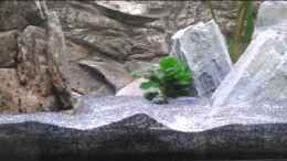 Video Malawi von Tobias Janßen (eKBSnQ4-6lE)