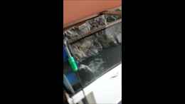 Video Erstbefüllung meines 400 Liter Beckens von ~MISCHA WILKEN~ (eR5k04JJNhg)