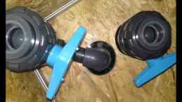 Video EB Big Buddies of S.A. Part 1 of 2 von GGuardiaNN (eRnh_eN6iMU)