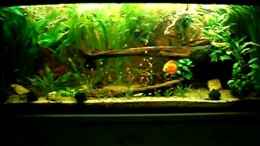 Video Diskusbecken von ~Marco~ (eXM1mm-IaoY)