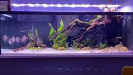 Video 1900 Liter Südamerika Aquarium von Aquarium Bonn (ec4El-RtNW0)