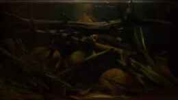 Video Neues Video von Didi (eoJw-fwvn4o)