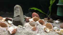 Video 30.11.2021 die Umbaumaßnahmen haben begonnen von herkla (ersX7se3mag)