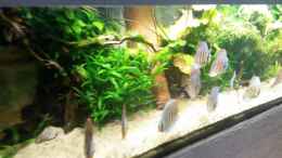 Video Video von Einrichtungsbeispiele.de von master-marko (f83_LWTa4Y4)