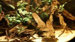 Video mit voller Beleuchtung von ehemaliger User (f9CkgNxA_Jo)