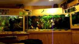 Video Aquariumanlage mit 3920 Liter Wasser von Ulrich Sauerhering (fUf8gN9LYjU)
