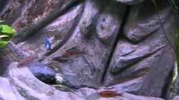 Video Video von Einrichtungsbeispiele.de von Marco O. (fXaTmW08gRg)