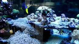 Video 160x60x60 von JuWa (fl47kGea_2k)