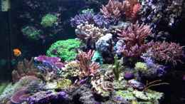 Video Seite 10.03.2013 von Stephan Ascher (fvyVVc_IxTE)