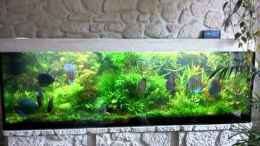 Video Mein Diskusbecken von @mazonas (gSj6Xn8ziaM)