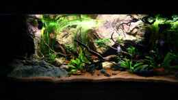 Video Hintergrundbeleuchtung 100% von GoreSlayer (gbT7DCQ8e0E)