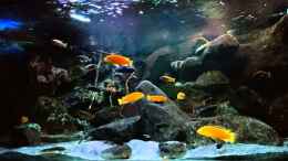 Video 700l Malawidelta von wadde (h5Ewj_4f04c)