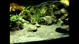 Video The Fortress von die Perle... (hb3mxMSvOeA)