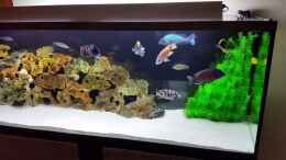 Video Becken am 26.1.18 von ehemaliger User (hgUbe1vcK1o)