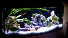 Video Malawi Katzentraum Reloaded von Kleene69 (hieit2s_y0k)