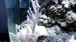 Video Nano Riff 20 l von hej kompisar (hso4TJBYL6I)