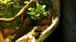 Video ??bersicht von ehemaliger User (i98IzVQL74E)