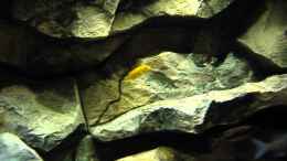 Video Video von Einrichtungsbeispiele.de von Sven (iA0IeniTA7s)