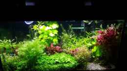 Video Raubtierfütterung  von odin 68 (iCMX0rwRjBU)