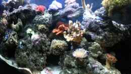 Video Gewitter im Meer von Tim1979 (iCOqHC9Lnxg)