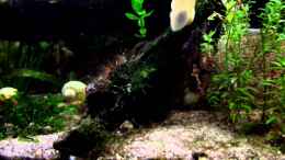 Video Im Einklang... von raubsau (iJjgo7Y55eo)